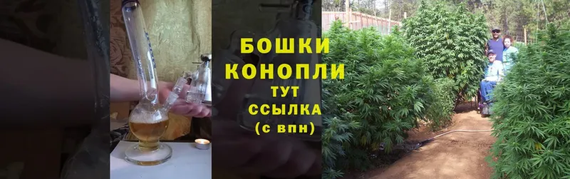 Канабис THC 21%  hydra маркетплейс  Семилуки  закладки 